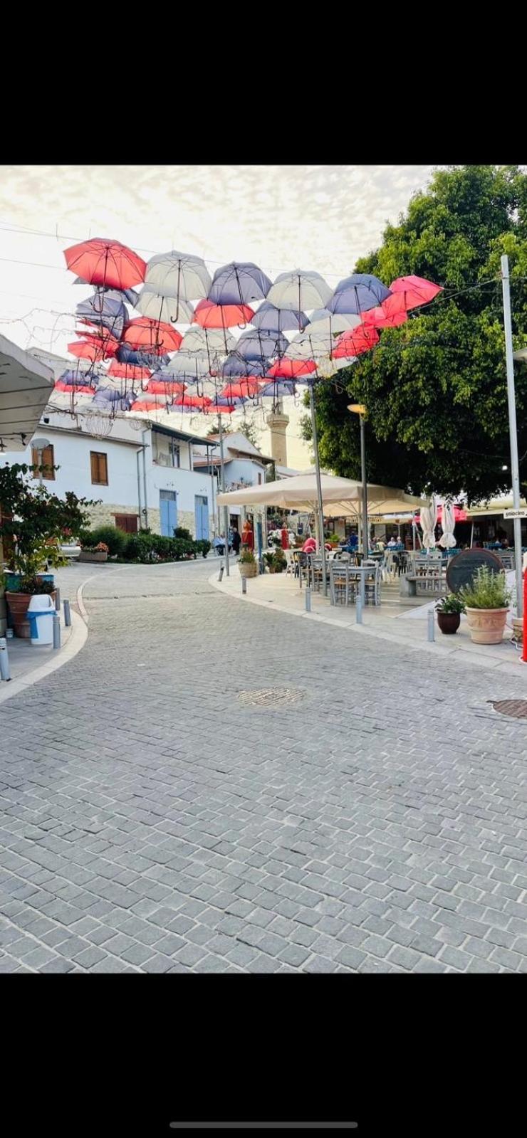 Calavato